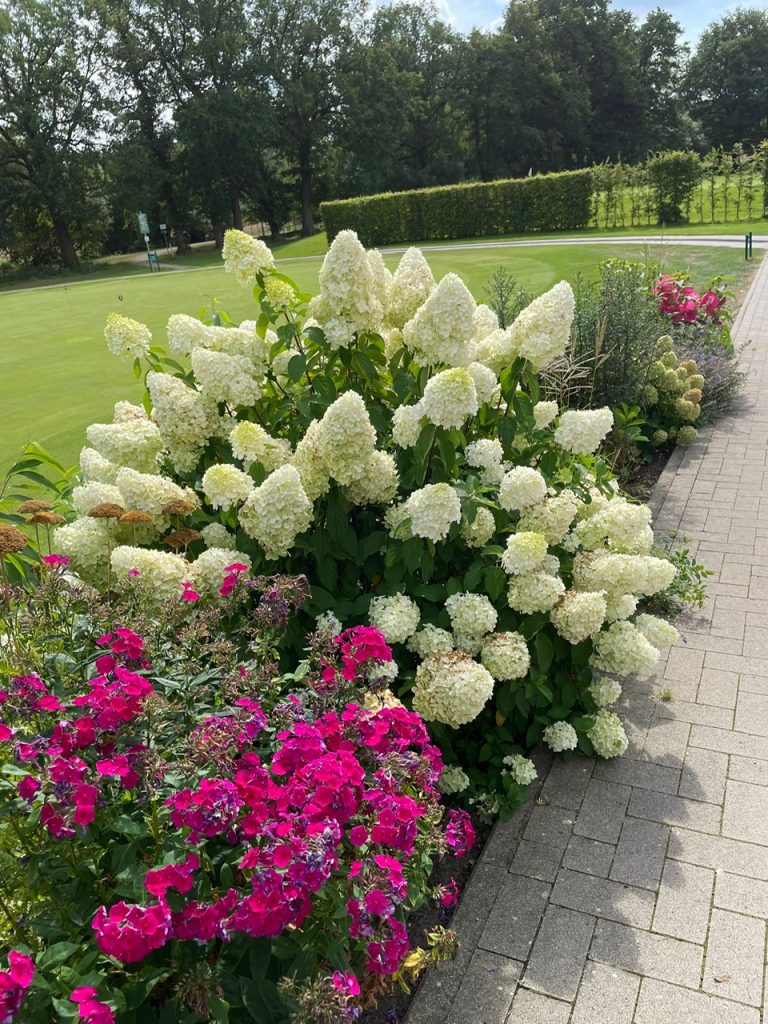 Blumenbeet vor dem Caddiehaus